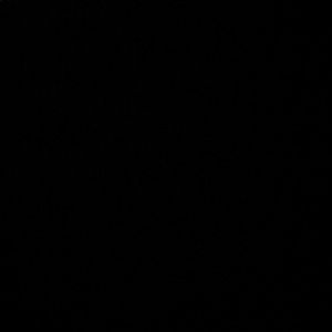 Meet your Posher, Ella